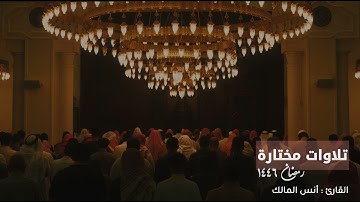 (قل اللهم مالك الملك تؤتي الملك من تشاء..) ماتيسر من سورة آل عمران من ليالي رمضان لعام ١٤٤٦