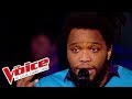 Cline dion  un garon pas comme les autres  spleen  the voice france 2014  preuve ultime