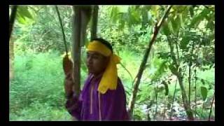 PUTRI SELARAS PINANG MASAK jambi