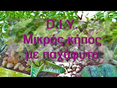 Βίντεο: DIY ανθισμένος κήπος