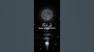 قال لا تخافا انني معكما اسمع وارى | سورة طه - شريف مصطفى