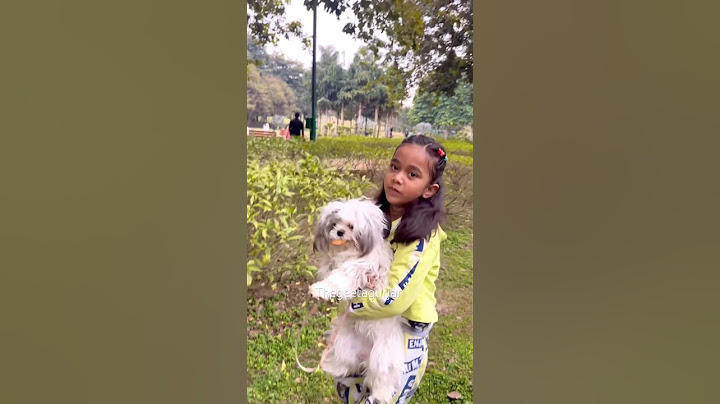 amaira ko mila pyara sa puppy🥰#thegeetagurjar #shorts