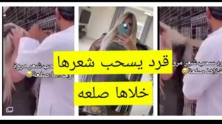 انتشـــاار فيديو ل مروة راتب والقرد يشد شعرها خلاها صلعه 