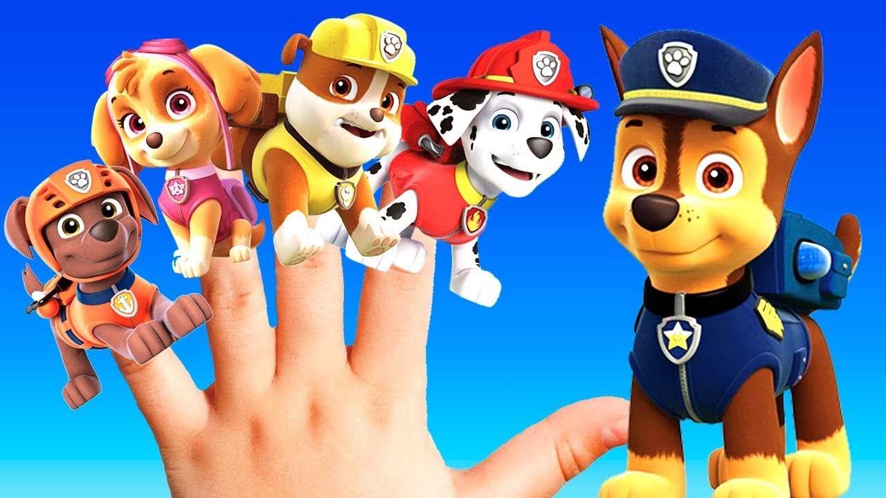 PAW PATROL Kids Song: BEST Nursery Rhymes For Children | Keiki Kids Songs