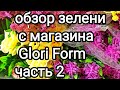 обзор зелени с магазина Glori Form часть 2.мыловарение