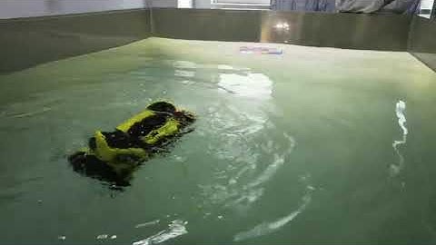 Underwater Drone ROV for professional application