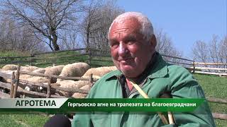 Агротема: Цената на агнешкото се увеличи с около 15- 20 процента  в магазините, автор: С. Кърпачев