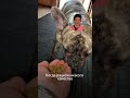 Хотите узнать больше о натуральном питании, подписывайтесь и переходите по ссылке в шапке профиля
