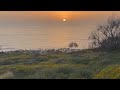 A Serene Sunset Encounter with a Hummingbird Moth