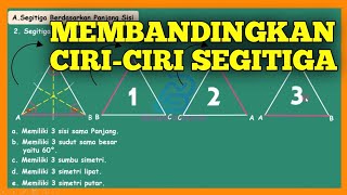 COMPARING THE CHARACTERISTICS OF A TRIANGLE PLANE