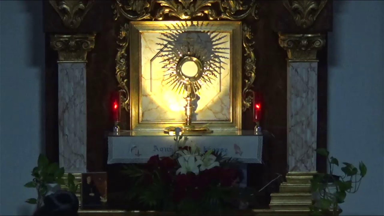ADORACIÓN EUCARÍSTICA PERPETUA