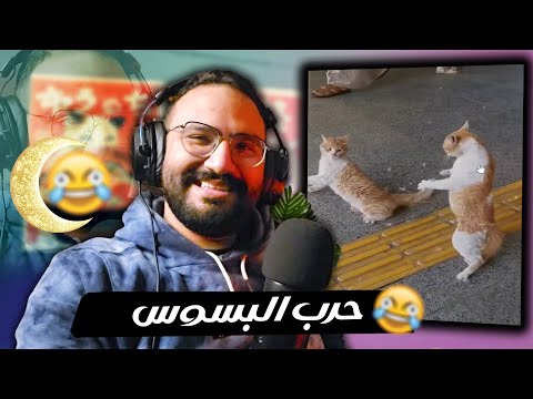 حرب البسوس تجميعة ميمز رمضانية خفيفة لذيذة جميلة زيكم كدا