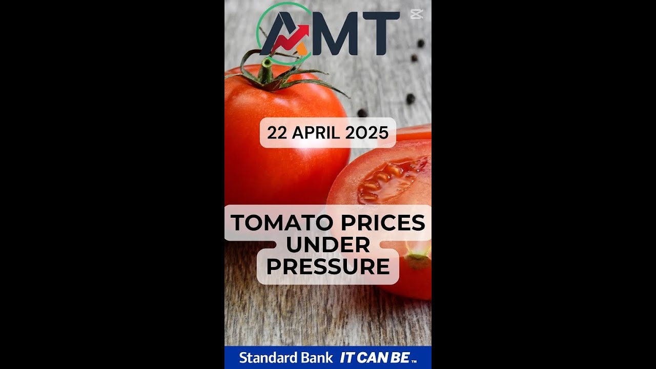 Tomato Prices Under Pressure 22 April 2025.mp4