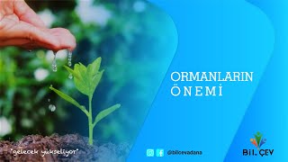 İlhan KÖSE - Adana İli Orman Genel Müdürlüğü Ağaçlandırma Şube Müdürü - Ormanların Önemi