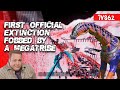 N3 First Extinction Official Server Fobbed by a Megatribe 7VS63 DREADNOUGHTUS NEW META!|ARK ASA PVP|