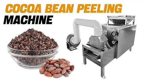 Cocoa Beans Processing Equipment|Cocoa Beans Paste Making Machine|Cocoa Bean Peeling Machine