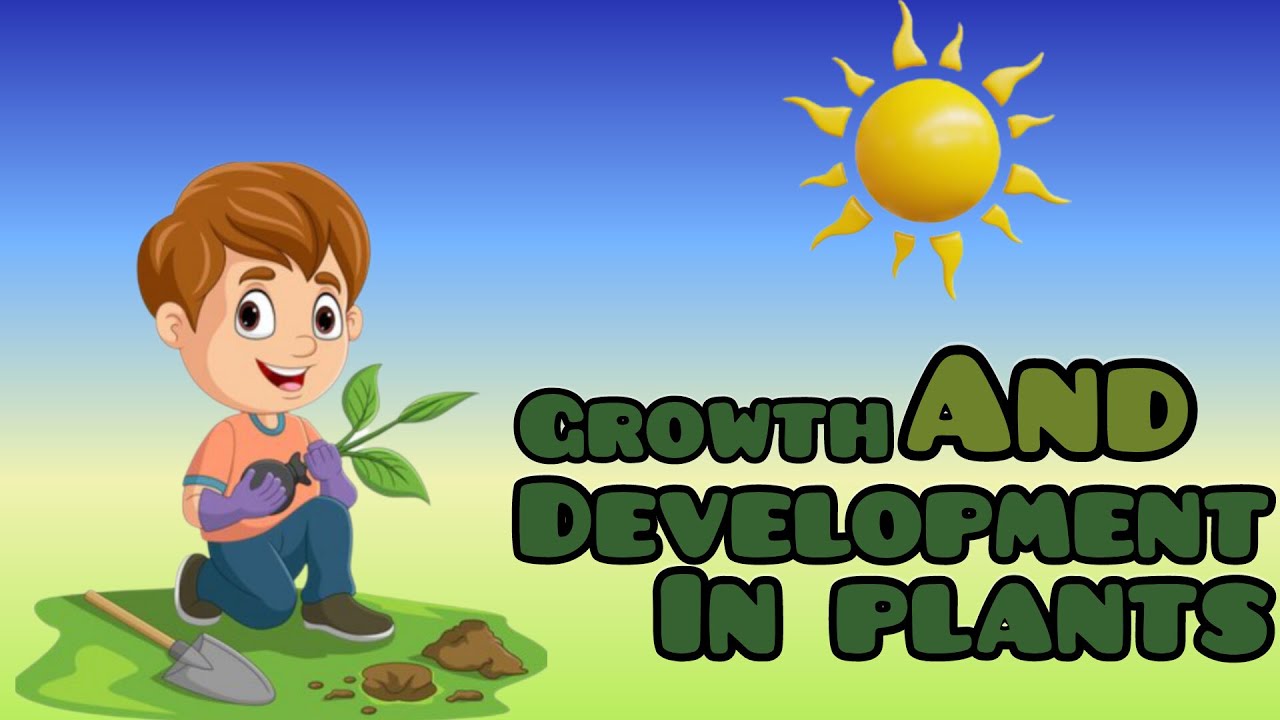 What Is Plant Growth And Development Growth And Development In Plant What Is Plant Growth And Development Growth And Development In Plant