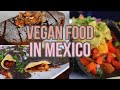 VEGAN Food in Valladolid MEXICO (Vegan On The Go: S1 E3)