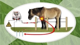 Pastores electricos para animales. Tienda de pastores eléctricos y cercados  eléctricos