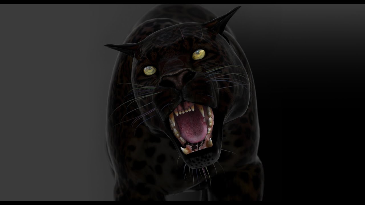 Black Panther Animal 3D Model Animated | PROmax3D - YouTube
