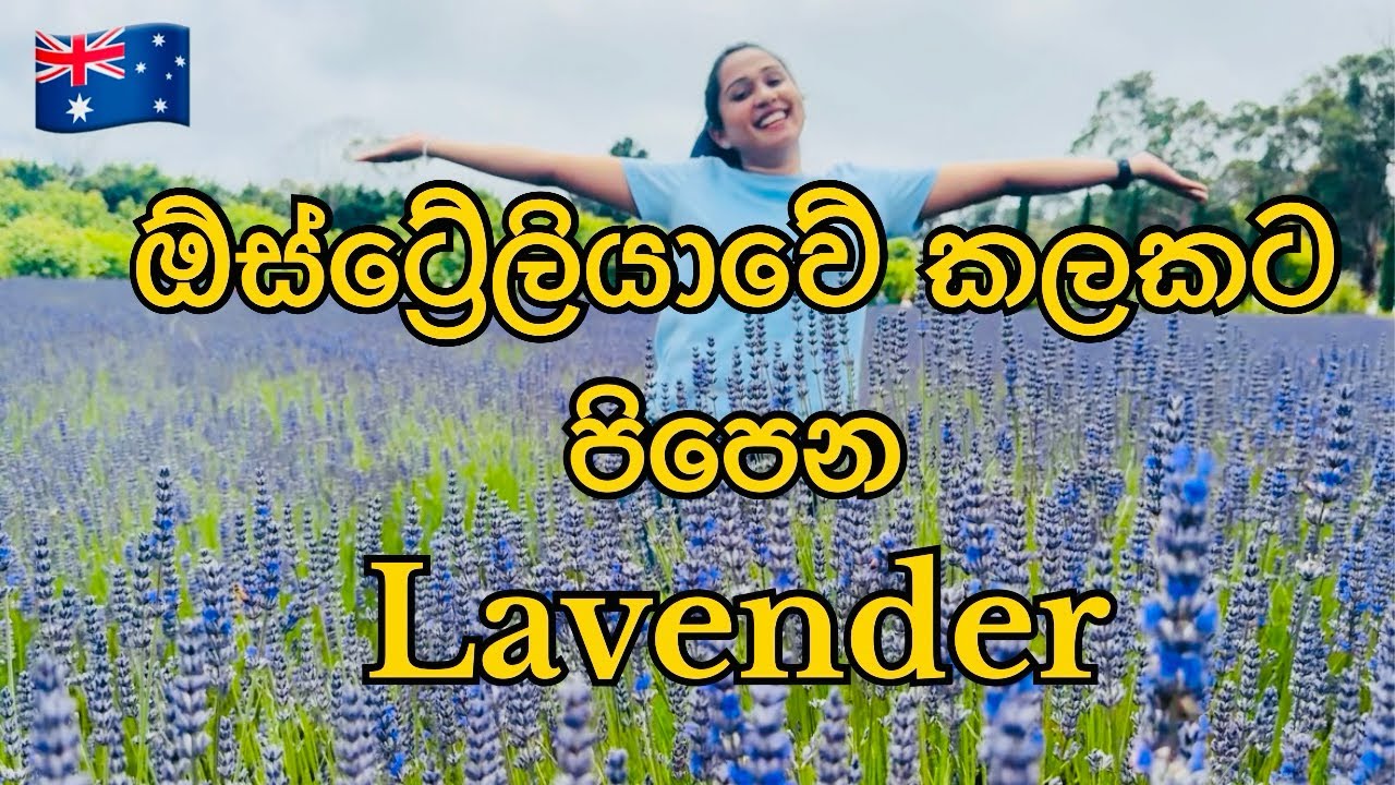 ඕස්ට්‍රේලියාවේ