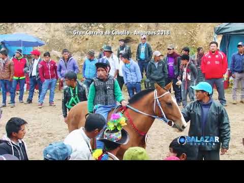 MAYCOL SALAZAR primicia