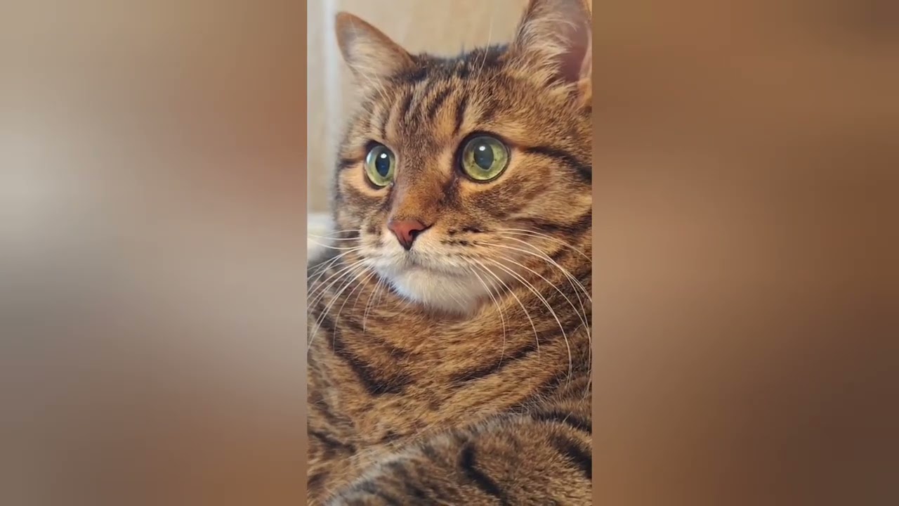 Четверг - рыбный день 🐟😻🤩🤣