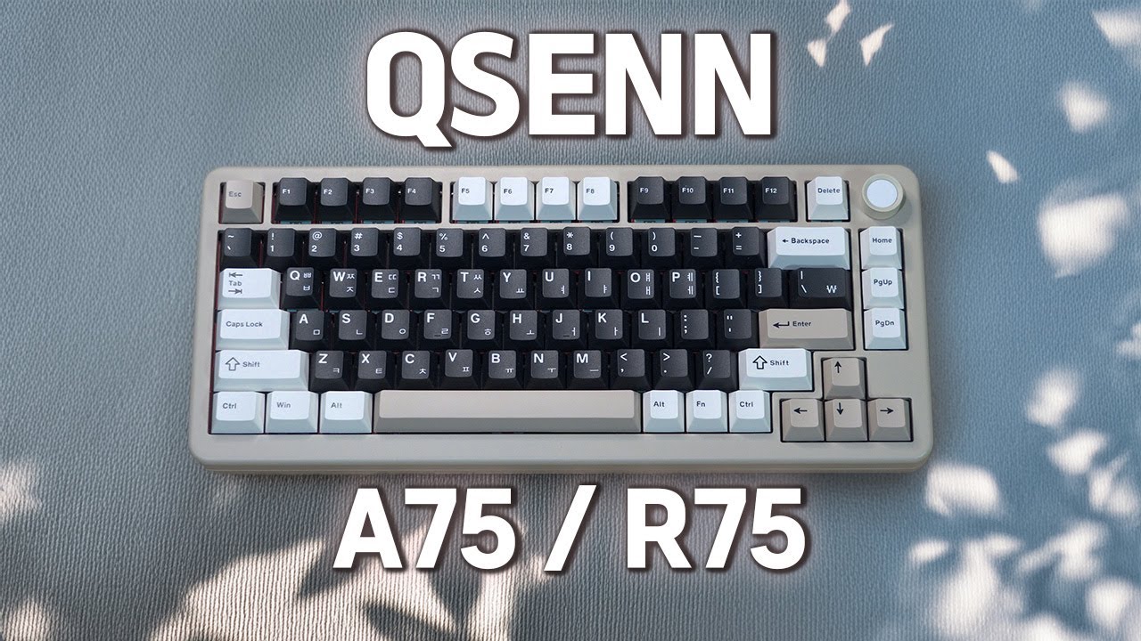 가성비 풀알루미늄 베어본 5만원대로 출시해버린 미쳐버린 큐센근황!