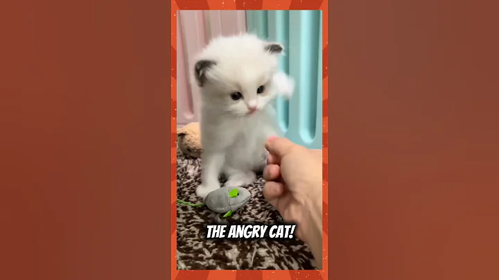 Watch the video about WARNING