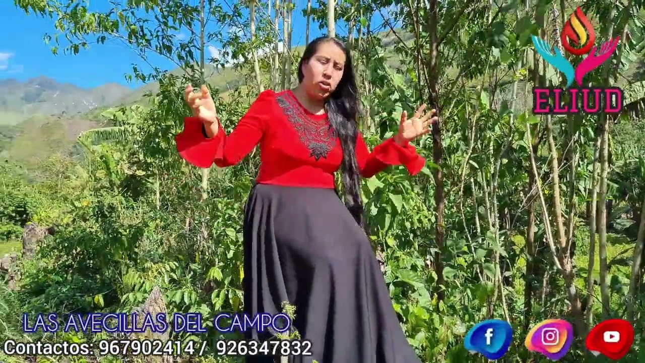 ministerio ELIUD/ las avecillas del campo