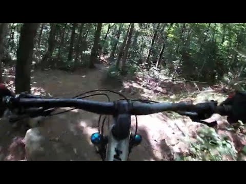 VT MTB 8.