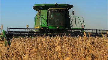 High Yield Soybean Harvest in Illinois 2025 | John Deer 9650STS
