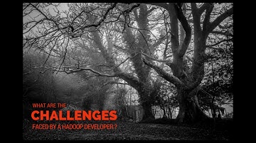 What are the challenges faced by Hadoop developers?