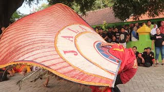 Ngeri Lurr! BARONGAN REOG TERLALU BESAR BIKIN PEMBARONG CILIK JATUHKAN DADAK MERAK