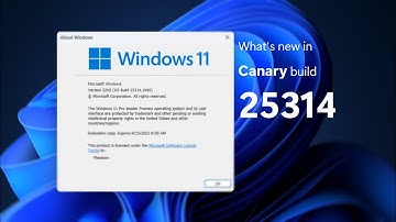 Welcome to Canary! - Windows 11 Canary build 25314 and what