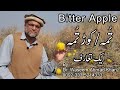 Bitter apple benefits and side effects  kortuma ke fayde  bitter apple benefits  tuma  kor tuma