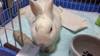 Mudo 20140516 - Paralysis Day 4 / Play Time