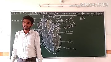 SET - E&F/10/SCI/6.06