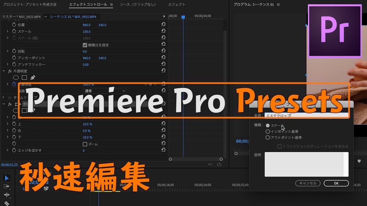 プリセットの保存方法を解説しました Premiere Pro Cc Youtube
