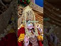 Jay Saraswati Mata Di ka short videos songs Saraswati Mata Di ka short video hai short video#