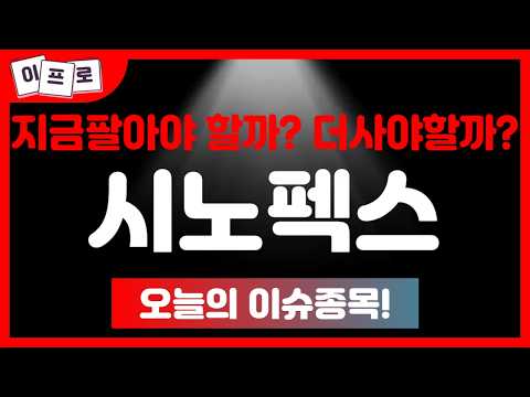 시노펙스 - 지금팔아야 할까? 더사야할까? 딱정해 드립니다!