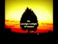 the nostalgic twilight of summer / 鳳凰-40- ( howow-40- )