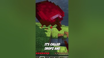 A MINECRAFT GRAVITY PHYSICS MOD!