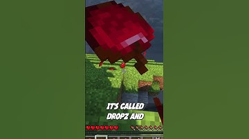 A MINECRAFT GRAVITY PHYSICS MOD!