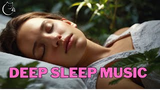 Peaceful Dream Music - Relaxing Background & Sleep Music for Ultimate Relaxation