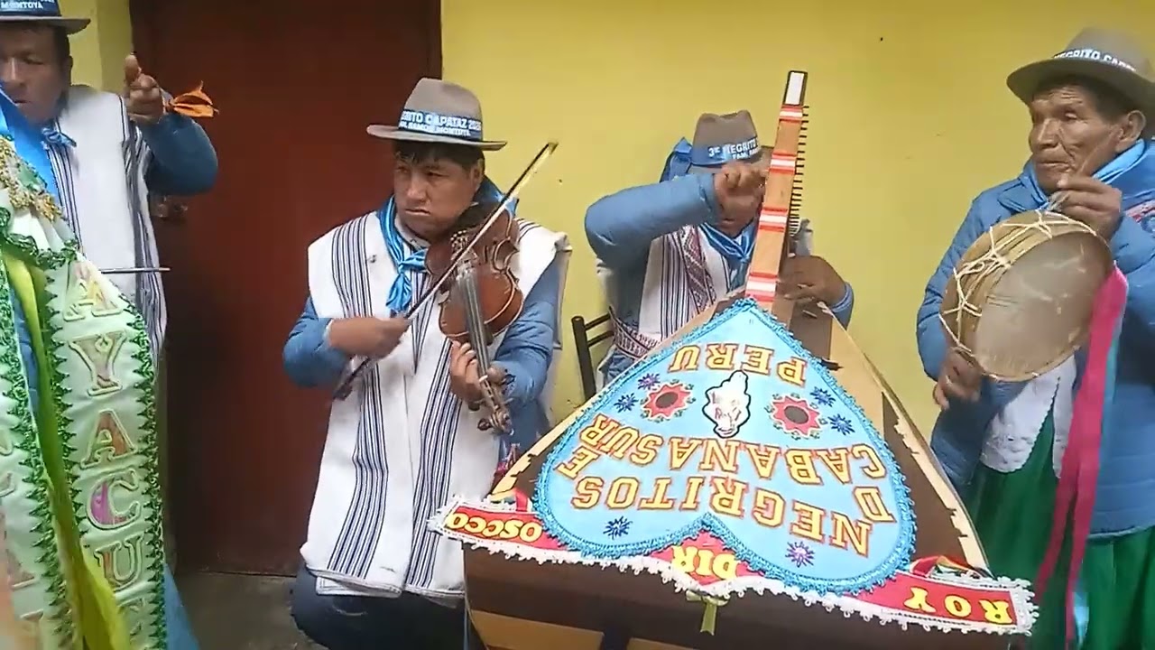 Negrito de cinta multicolores 