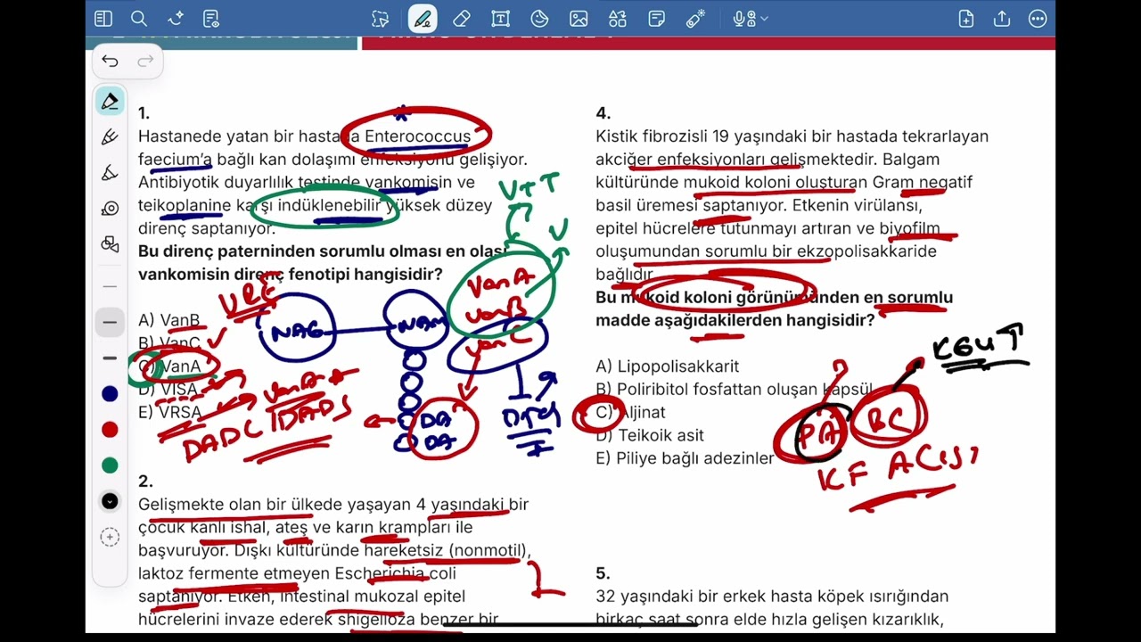 7. MİKRO-ON DENEME SINAVI 7