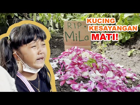 Video: Ketika mereka menangis kematian rika?