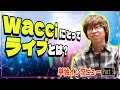【wacci 3】幅広い世代に愛される理由「ライブは〇〇の場所」【日テレ系 こどもday】