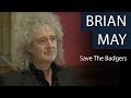 Brian May | Save The Badgers | Oxford Union